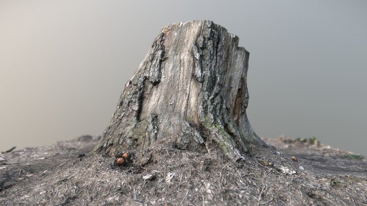 Stump - video tutorial – Modèle 3D gratuit STL
