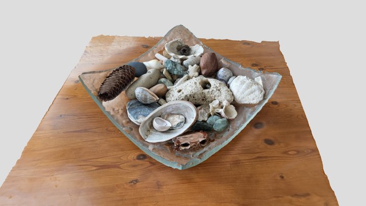 Shells & Seeds 3D Model