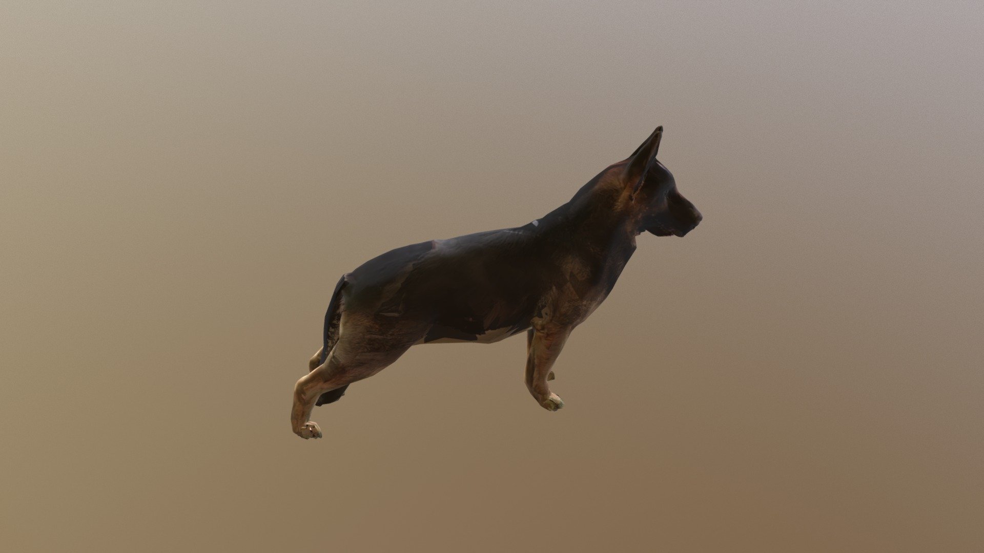 Dog B Posed 0003