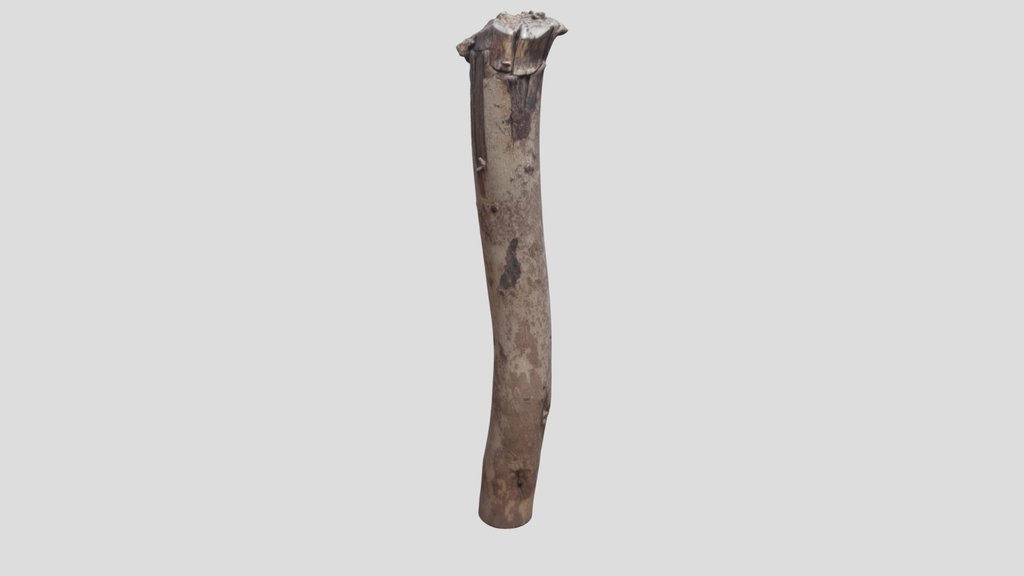 Log Scan