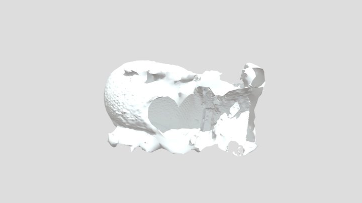 Textured Mesh 3D Model