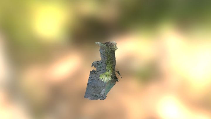 Narvacan Ruins 3D Model