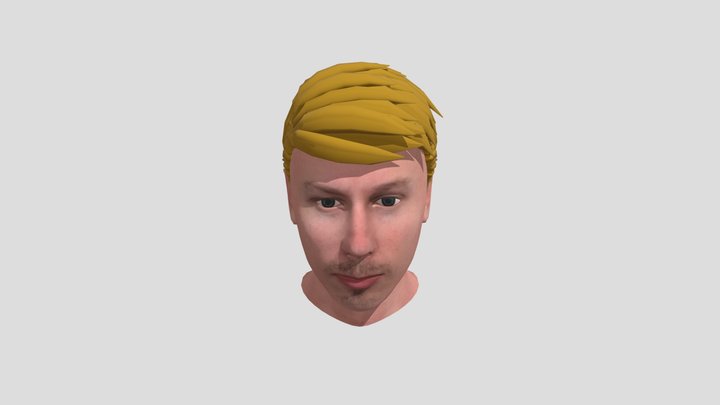 avatar_head_03b 3D Model