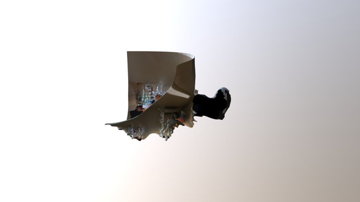20190416_163133.obj 3D Model