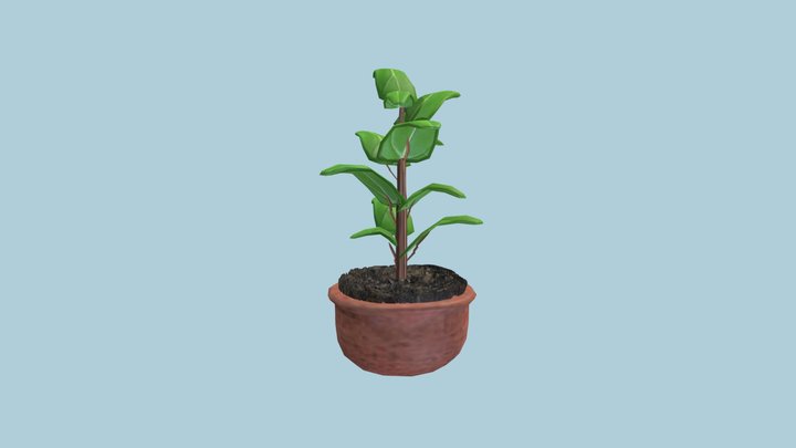 planthopefullyfinal 3D Model