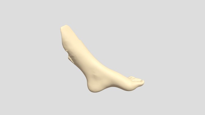 Foot Scanning for Orthotics 3D Model