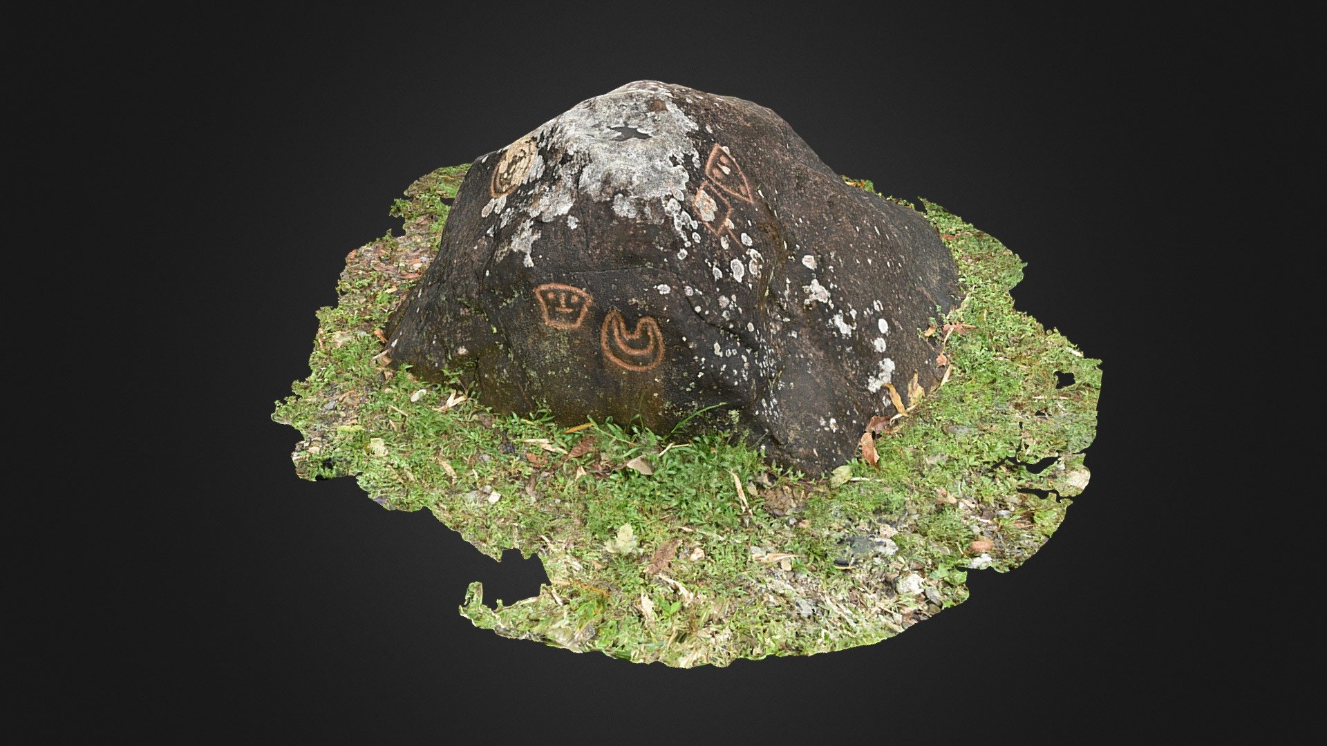 Amazonian Ecuador Petroglyph Boulder