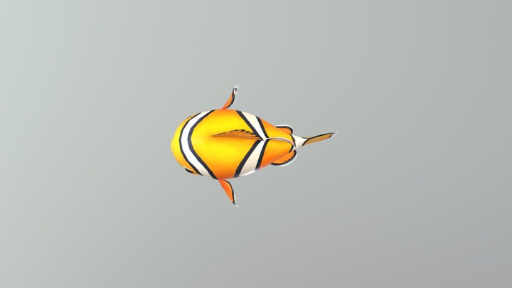 小丑魚 3D Model