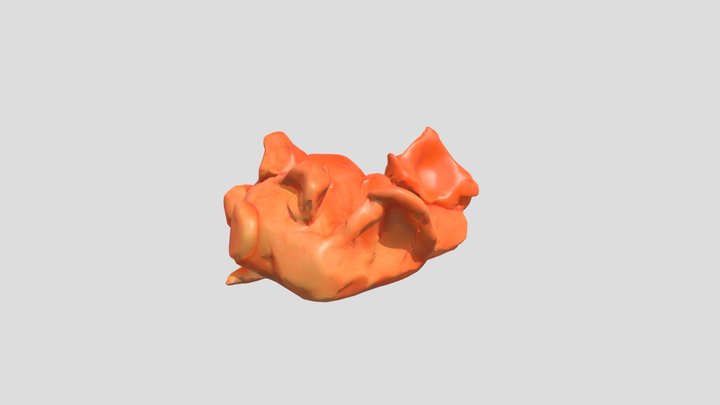 catfish – Modello 3D gratuito STL