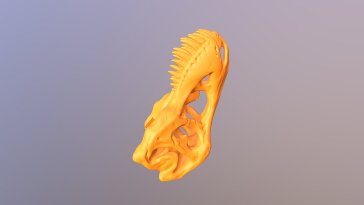 T- Rex Skull 3D Model