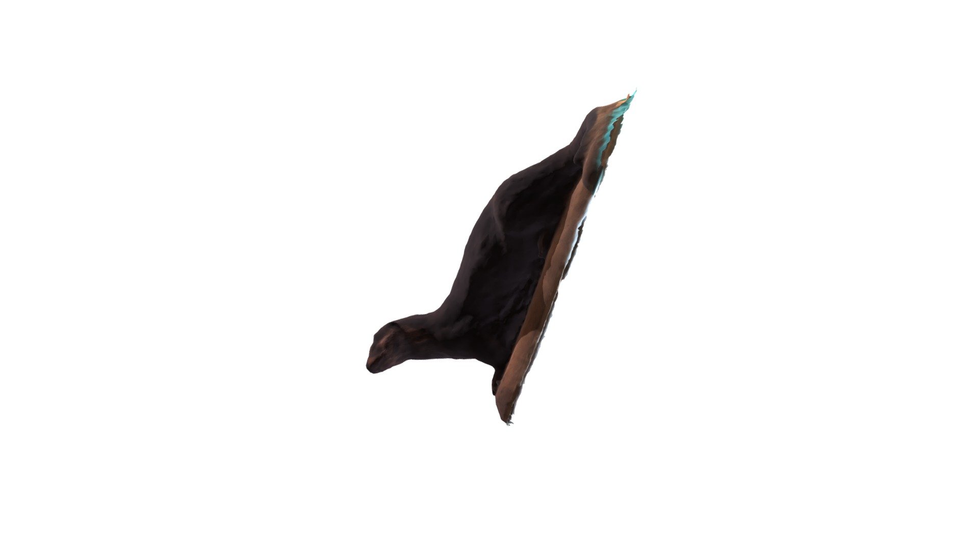 Otter