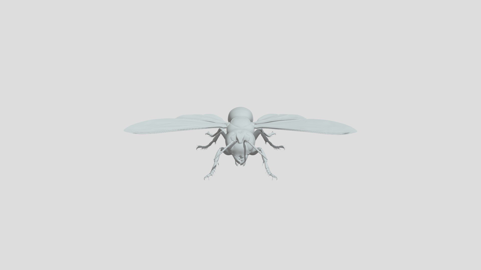 Vespa Mandarinia - 3D model by mohamedhussien [a09112d] - Sketchfab