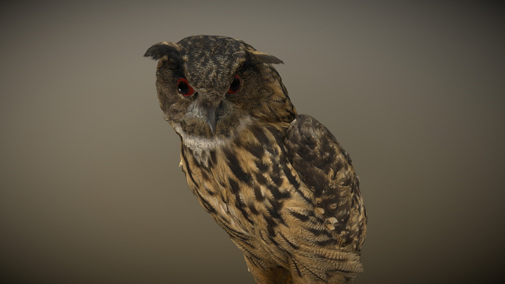 3D model Bubo the Owl VR / AR / low-poly