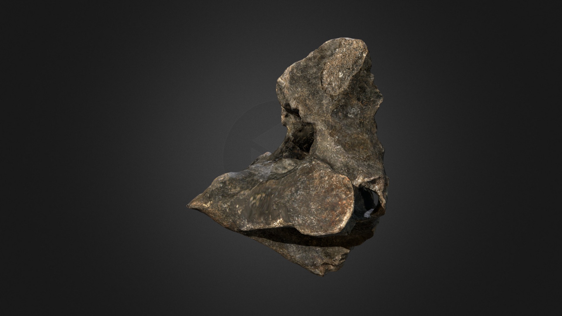 3D model Woolly Rhino Axis Vertebra - This is a 3D model of the Woolly Rhino Axis Vertebra. The 3D model is about a stone with a hole in it.