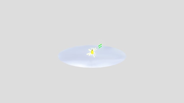 SMART DUCK 3D Model