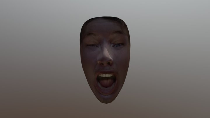 Head 2 3D Model
