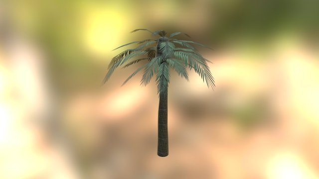 Palmera 3D Model