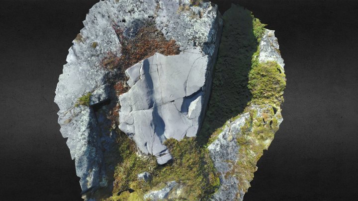 Alta Rock Art: Bergheim 7 3D Model