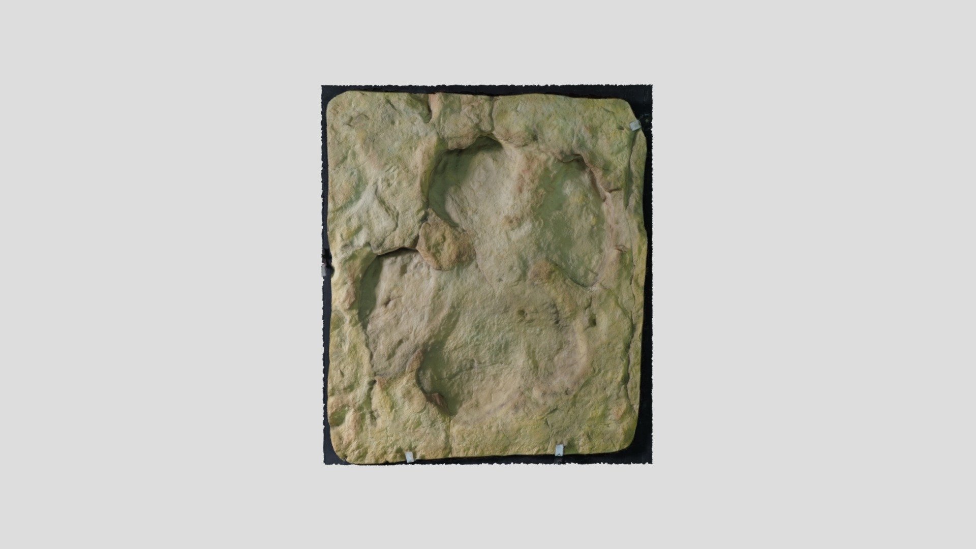 Caririchnium 鳥脚類の足跡化石カリリクニウム - 3D model by K