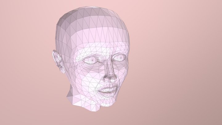 Face 3D Model