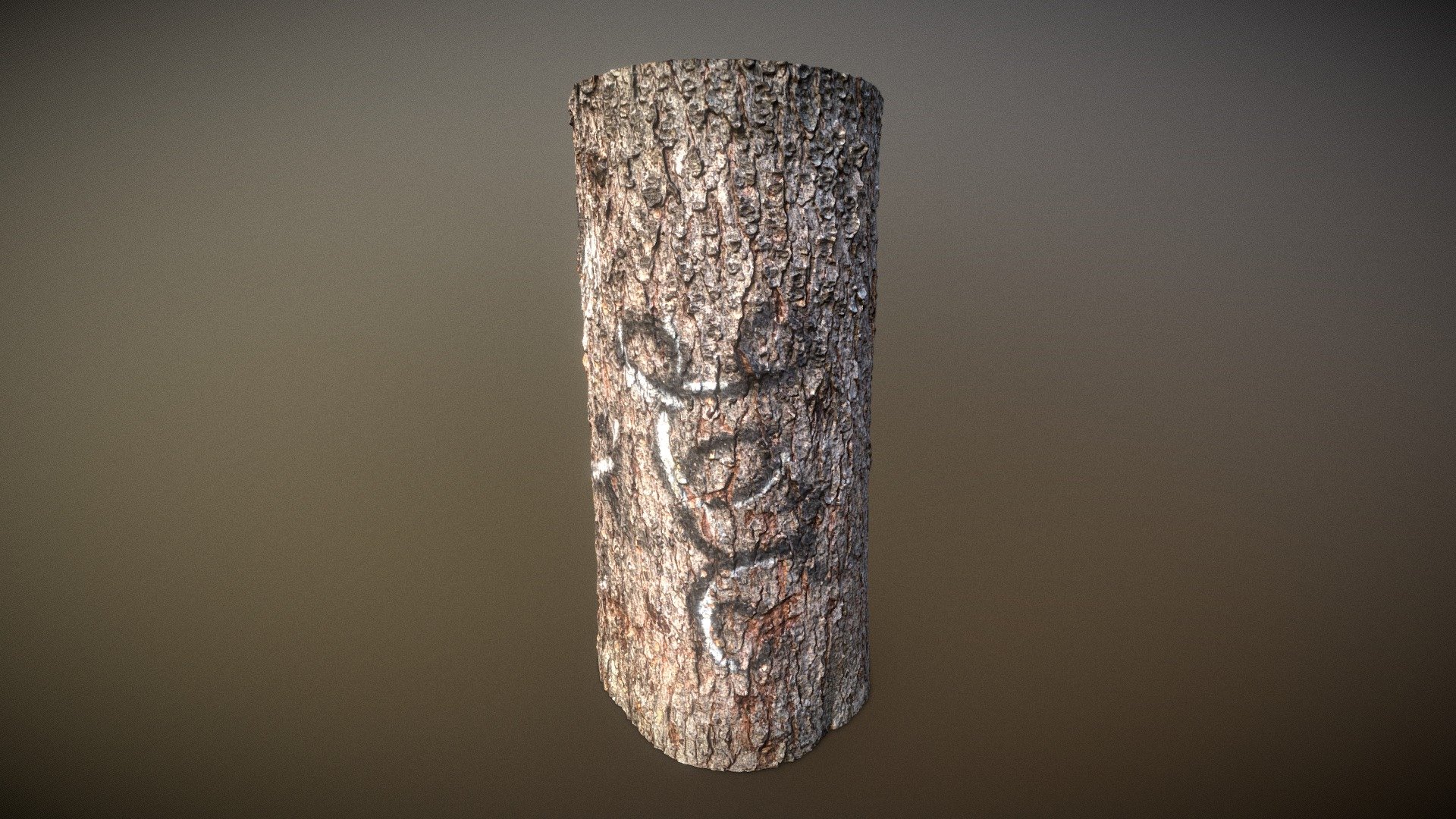 Tree Trunk