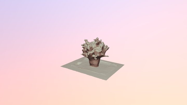 Plant 2 Final_Recap 3D Model