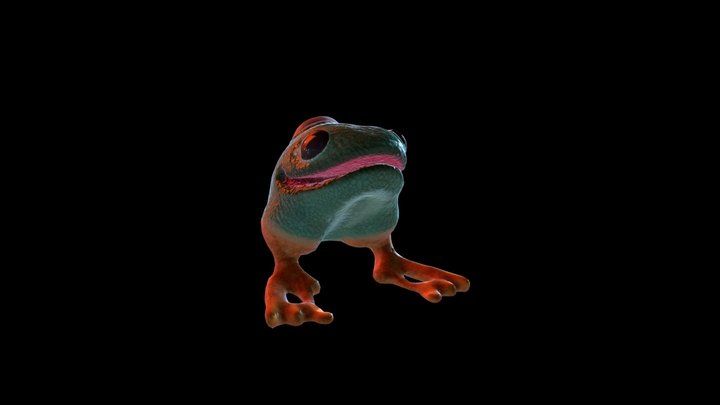 Cursed Frog_Attack 3D Model