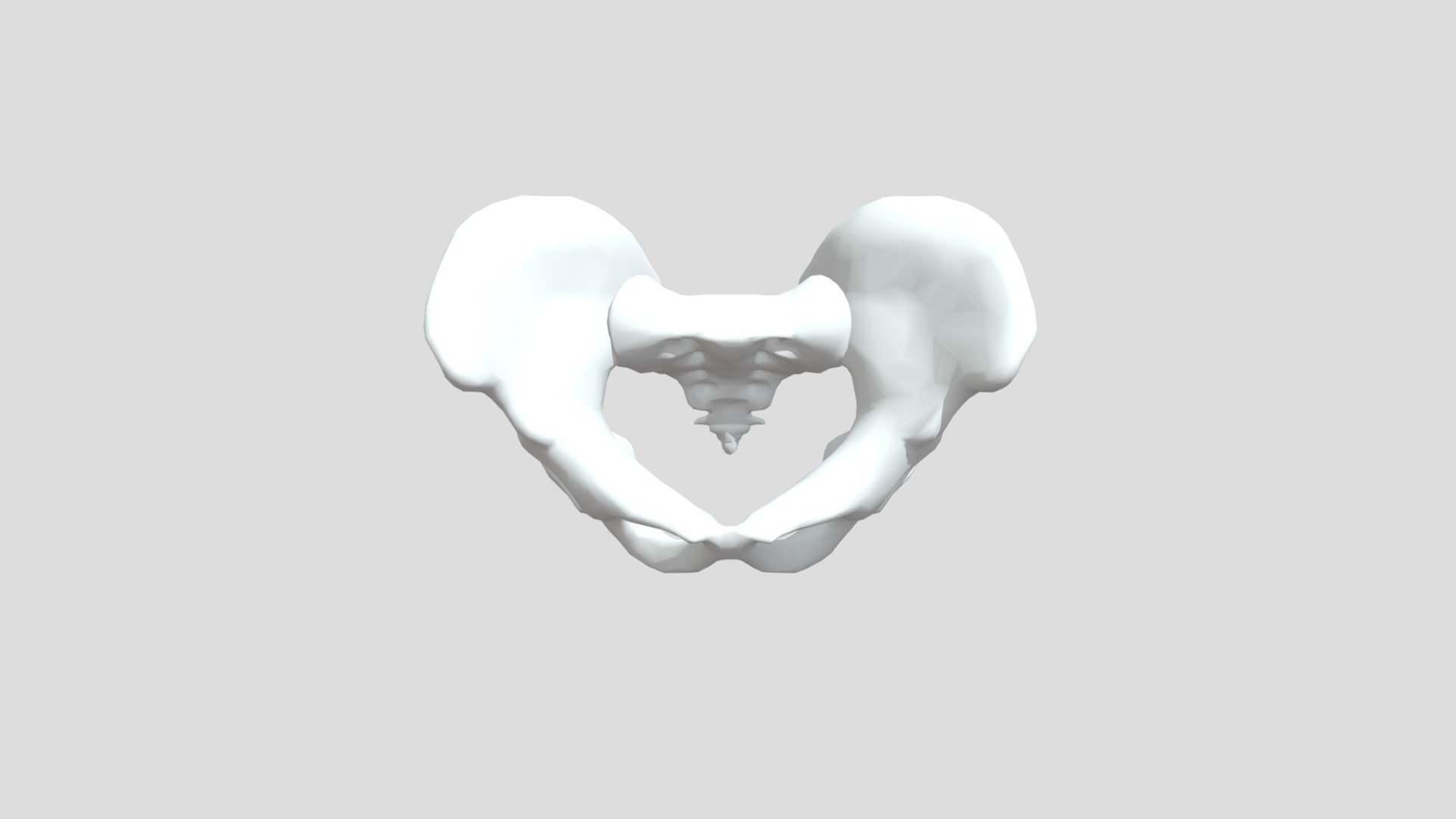 Pelvis 10393 - Download Free 3D model by saravananm4594 [a09c13f ...