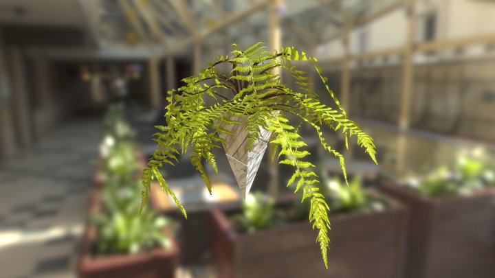 Hanging Plant A13 3D Model