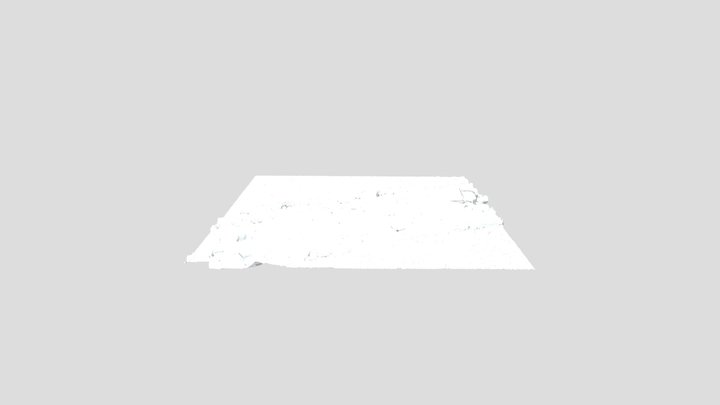 Test 3D Model
