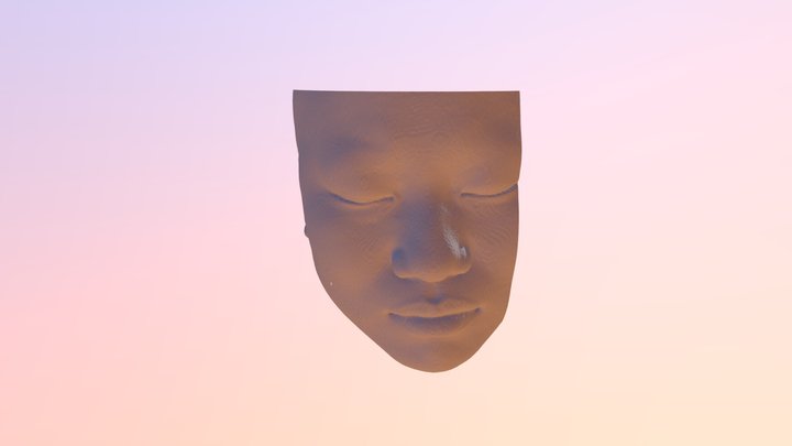 paranasal sinus and airway 3D Model