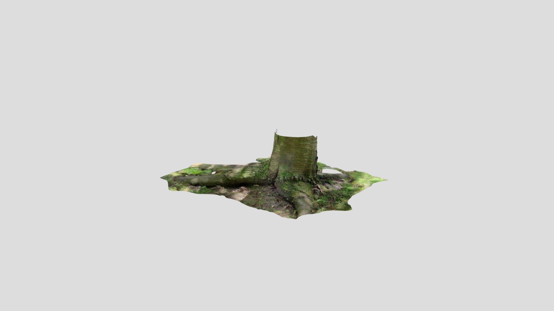 Polycam capture