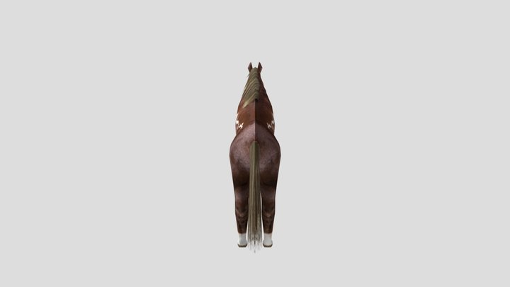 CriouloHorse 3D Model