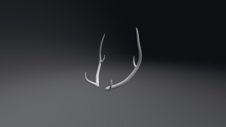 Antlers 3D Model