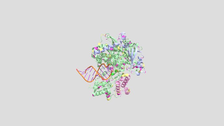 COVID-19 Interactions with Remdisivir 3D Model