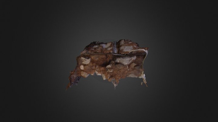 Müür i (medium quality) 3D Model