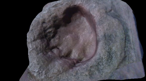 sauropod footprint