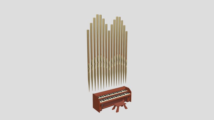 Organcombined 3D Model