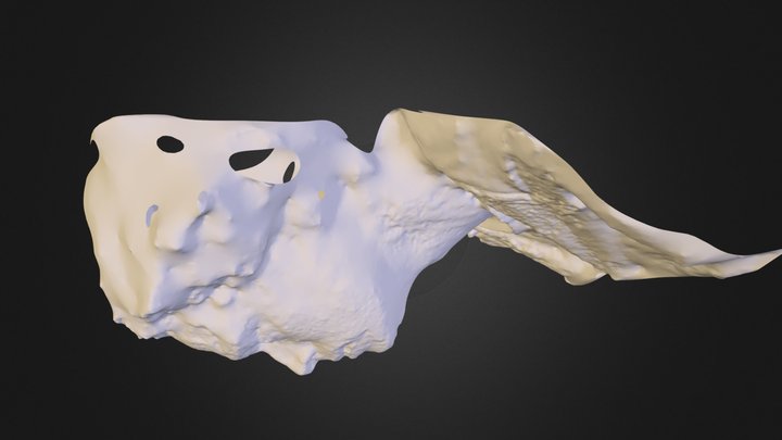 PacorossaMesh 3D Model