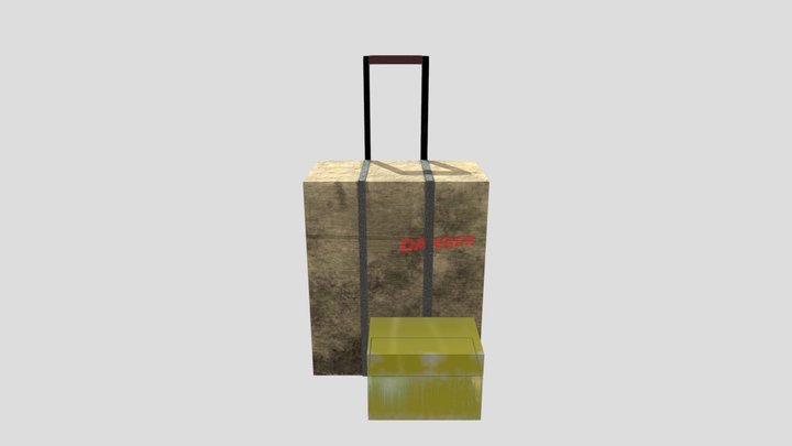 Cases 3D Model