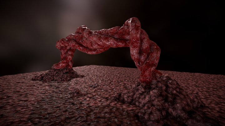 Carne Test 3D Model