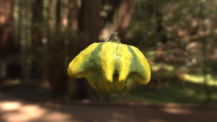 "Exotic pumpkin 3" - Patty Pan Squash + RAW scan 3D Model