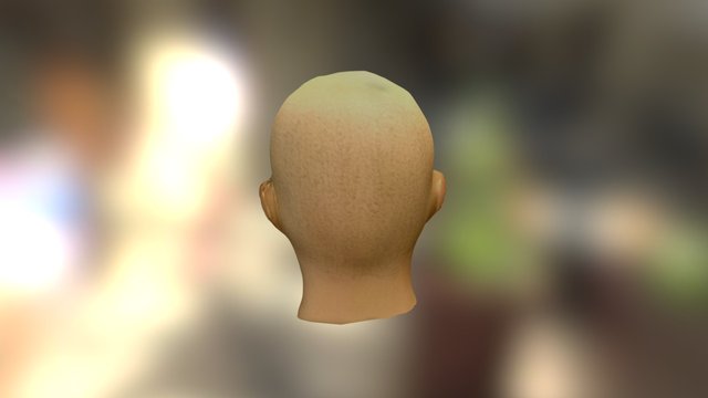 Untitled 3D Model