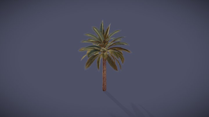 Phoenix Palmtree – Free 3D Model STL