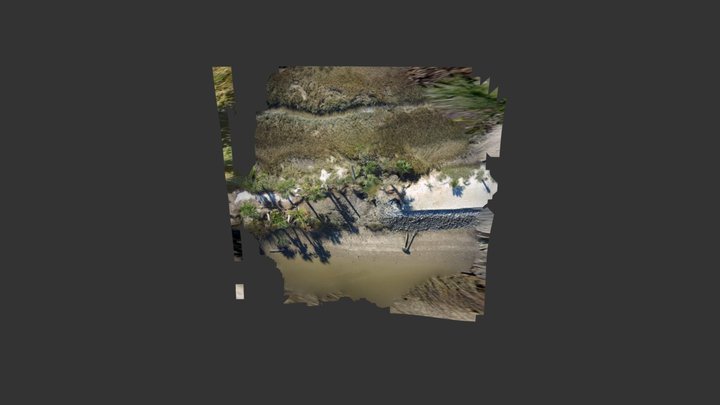 Tybee Trail Washout 3D Model