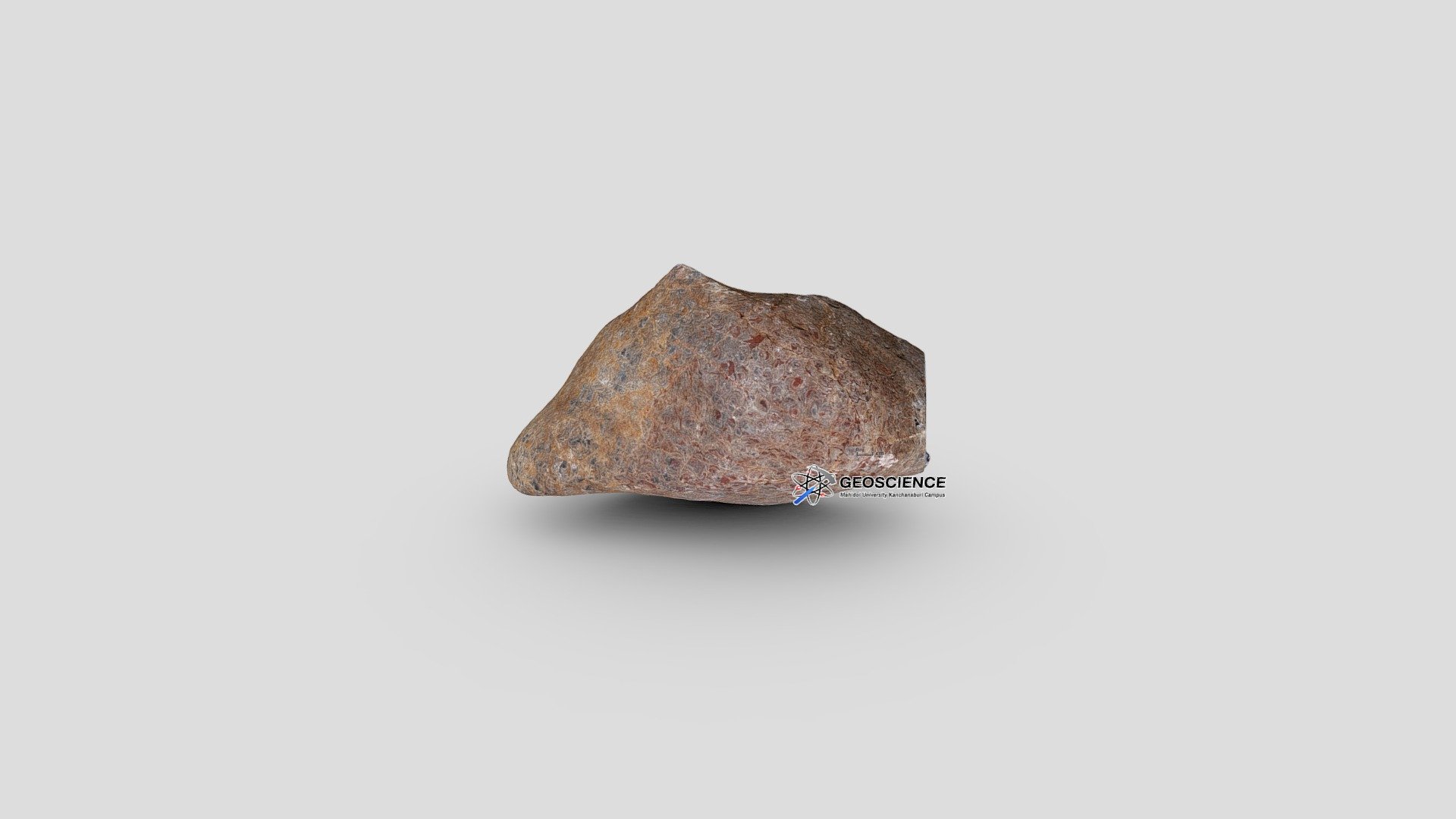 Stromatolite