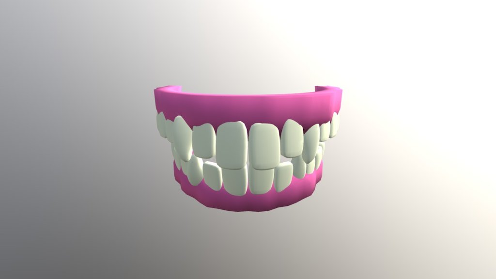 Dentadura - Denture Model