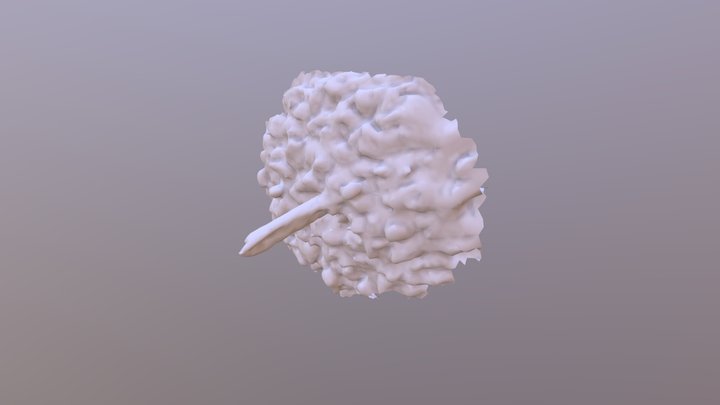 rocapalo 3D Model