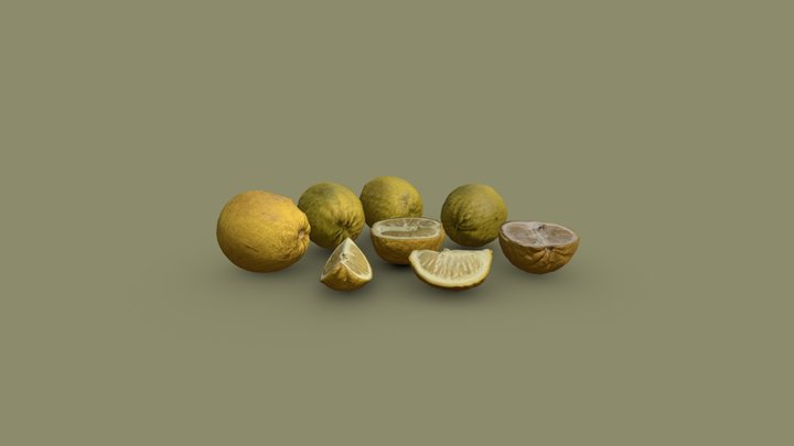 Lemon Scans 3D Model