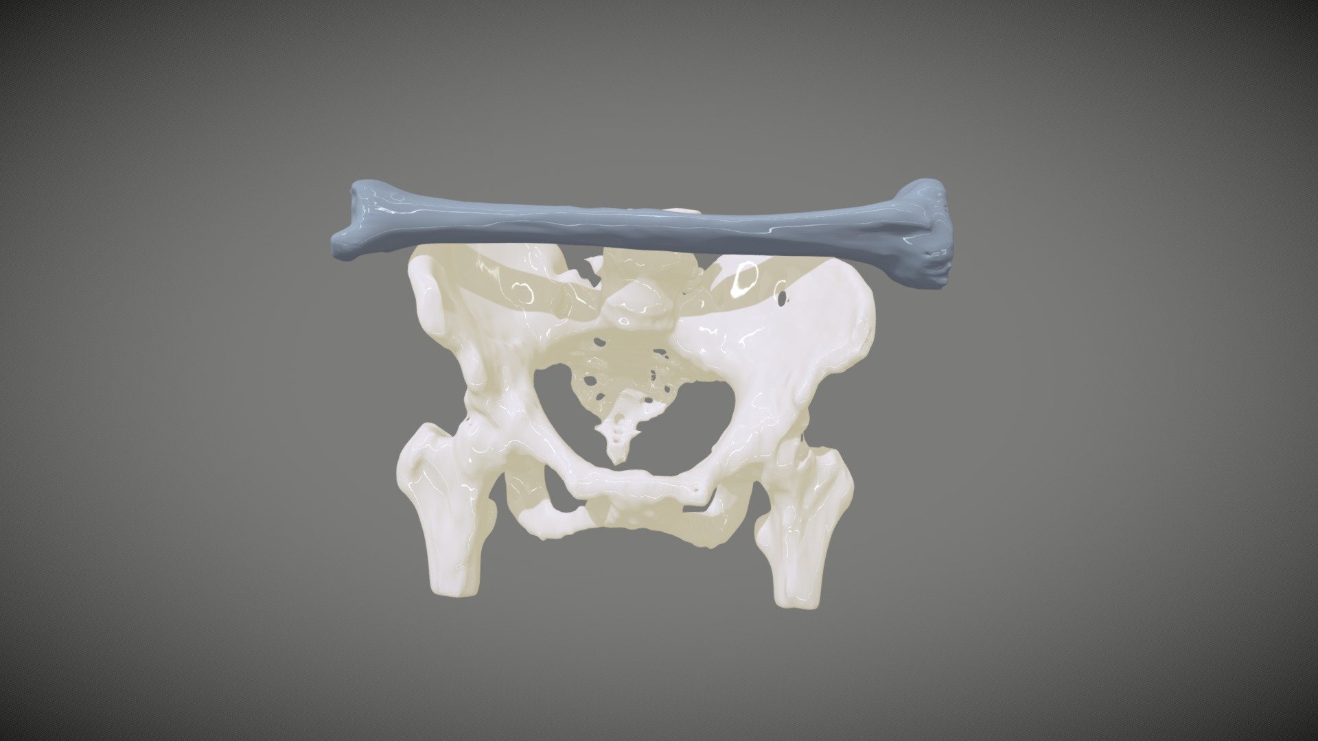 Pelvic Width vs Tibia Length